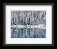 Winter Reflections Fine Art Print