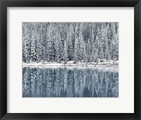 Winter Reflections Fine Art Print
