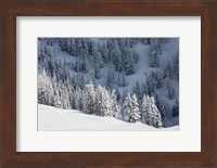 North Cascades in Winter III Fine Art Print