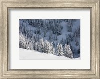 North Cascades in Winter III Fine Art Print