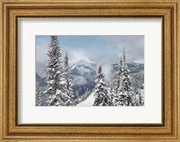 North Cascades in Winter I Fine Art Print