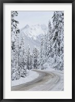 Mount Baker Highway II Fine Art Print