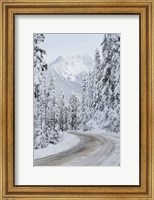 Mount Baker Highway II Fine Art Print