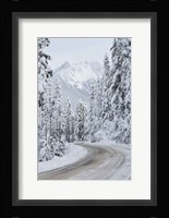 Mount Baker Highway II Fine Art Print