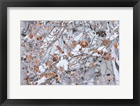 Grove of Aspen Trees Fine Art Print
