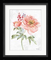 Floral Focus VI Framed Print