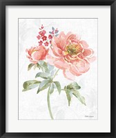 Floral Focus VI Framed Print