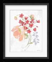 Floral Focus IX Framed Print