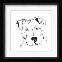 Line Dog Pitbull II Framed Print