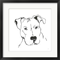 Line Dog Pitbull II Framed Print