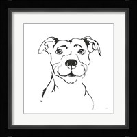 Line Dog Pitbull I Framed Print