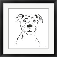 Line Dog Pitbull I Framed Print