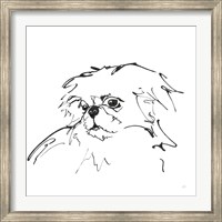 Line Dog Pekingese Fine Art Print