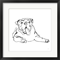 Line Dog Bulldog I Framed Print