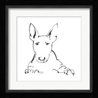 Line Dog Bull Terrier Framed Print
