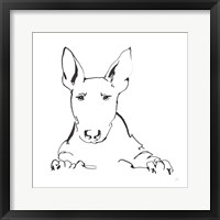 Line Dog Bull Terrier Framed Print