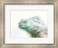 Tropical Iguana Fine Art Print