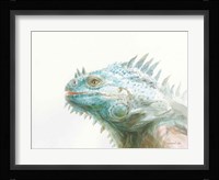 Tropical Iguana Fine Art Print