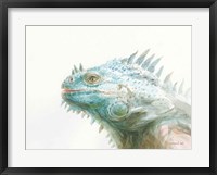 Tropical Iguana Framed Print