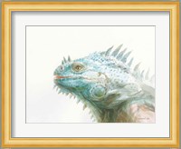 Tropical Iguana Fine Art Print