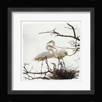 Devotion Fine Art Print