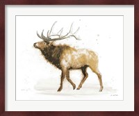 Elk v.2 Full Fine Art Print