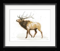Elk v.2 Full Fine Art Print