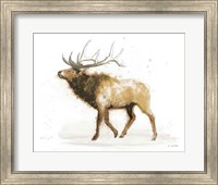 Elk v.2 Full Fine Art Print