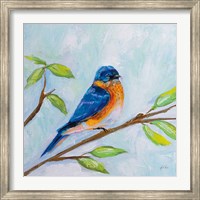 Bluebird Fine Art Print
