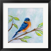 Bluebird Fine Art Print