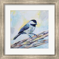 Chickadee Fine Art Print