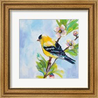 Golden Finch Fine Art Print