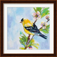 Golden Finch Fine Art Print