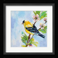 Golden Finch Fine Art Print