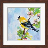 Golden Finch Fine Art Print