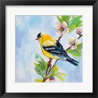 Golden Finch Fine Art Print
