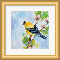 Golden Finch Fine Art Print