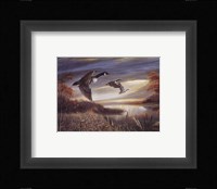 Migration South Framed Print