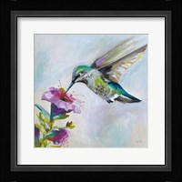 Hummingbird II Framed Print