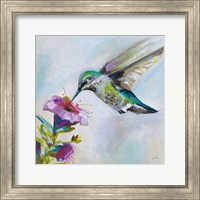 Hummingbird II Fine Art Print