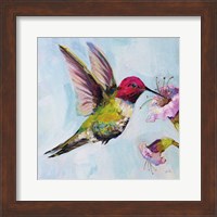 Hummingbird I Fine Art Print