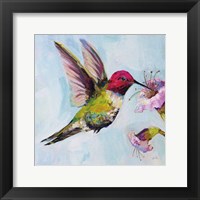 Hummingbird I Fine Art Print
