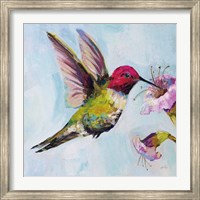 Hummingbird I Fine Art Print