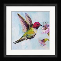 Hummingbird I Framed Print