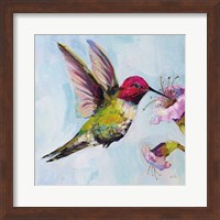 Hummingbird I Fine Art Print