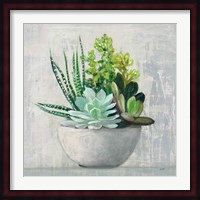 Succulent Still Life II Fine Art Print