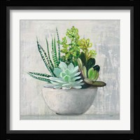 Succulent Still Life II Framed Print
