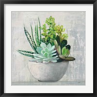 Succulent Still Life II Framed Print
