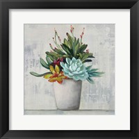 Succulent Still Life I Fine Art Print