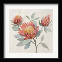 Field Bloom II Framed Print
